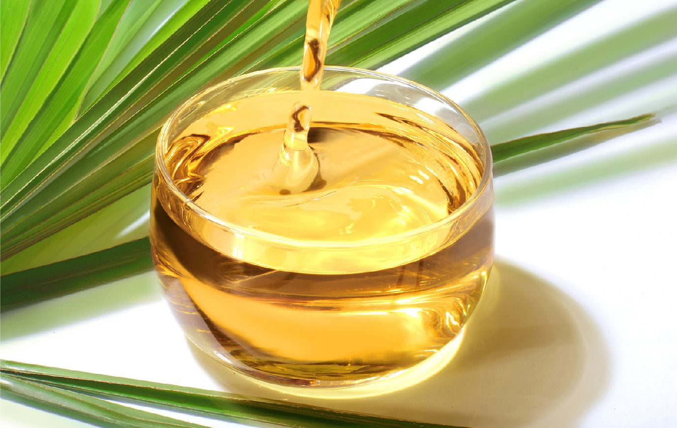 Пальмовое масло – польза или вред?